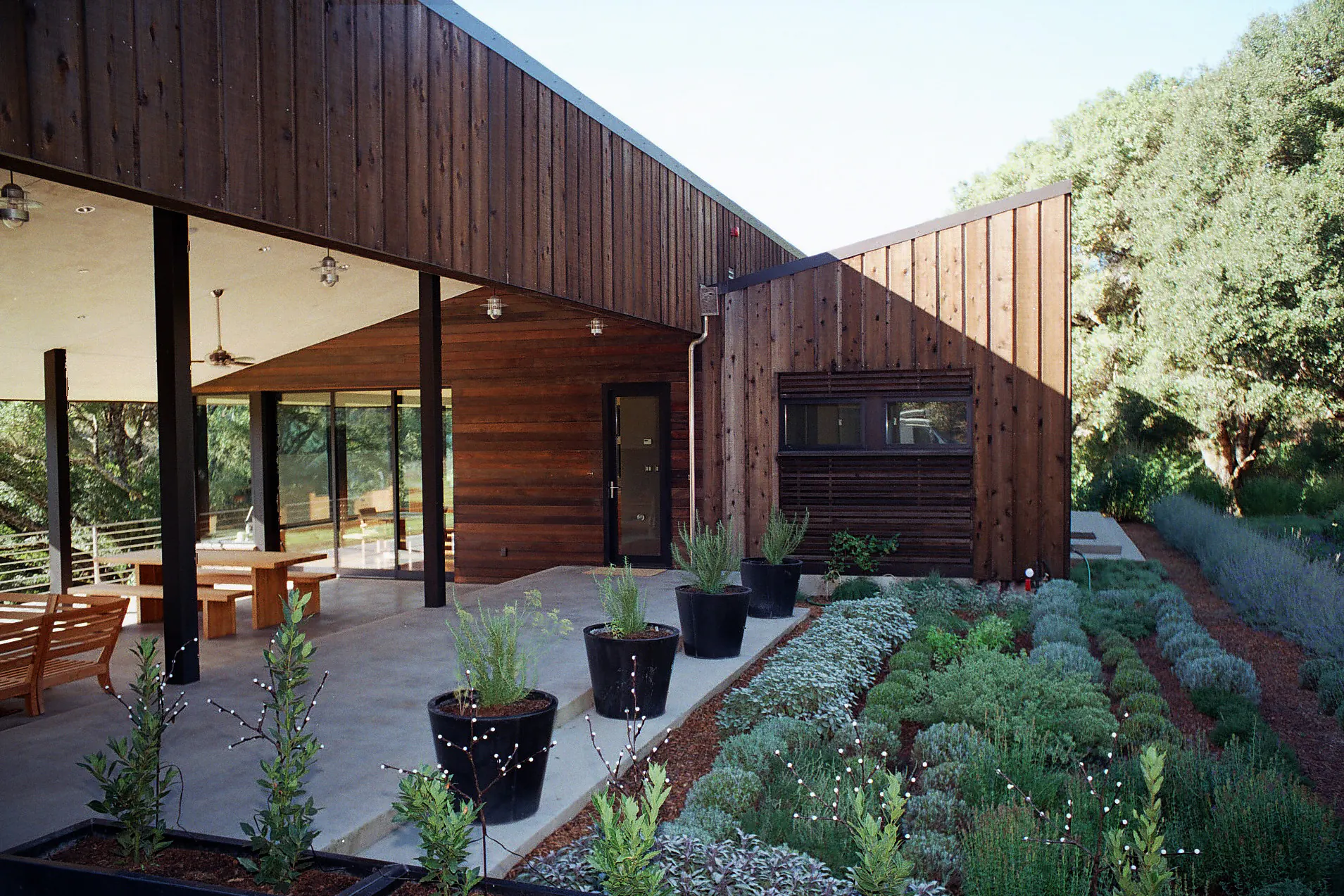 Photo of Barstow/Ensign Residence; architect, Regan Bice and Assoc., Berkeley, CA; exterior landscaping